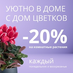 -20% на горшечные растения каждое воскресенье и понедельник